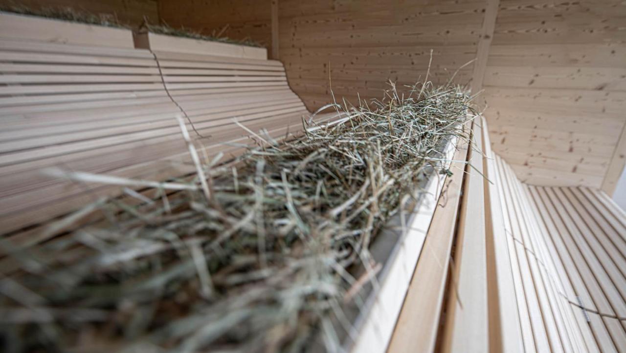 Inns Holz Ulrichsberg Ngoại thất bức ảnh